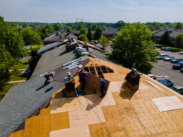 Best Commercial Roofing Services  in Livingston, AL