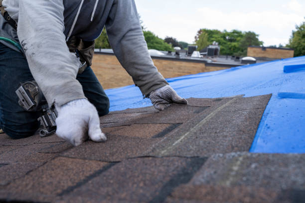 Best Storm Damage Roof Repair  in Livingston, AL