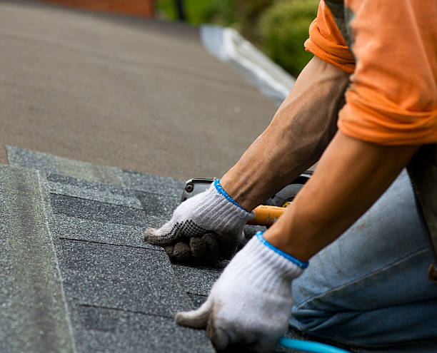 Best Local Roofing Companies  in Livingston, AL