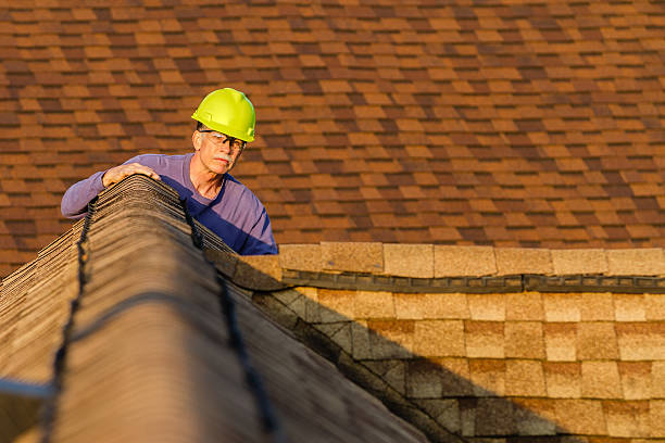 Best New Roof Installation  in Livingston, AL