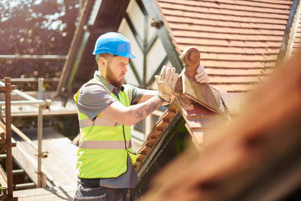 Best Metal Roofing Contractor  in Livingston, AL